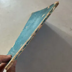 Hoa hồng giấy - Võ Trung Hiếu 800947