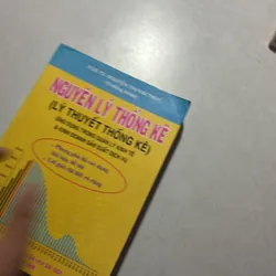 Nguyên lý thống kê 727009