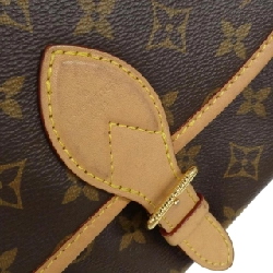 Túi xách vai Louis Vuitton Monogram Diane PM M46049 609921