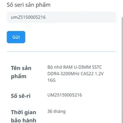 Ram SSTC 16GB 558531