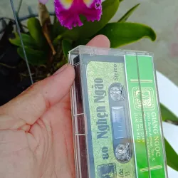 Băng Cassette Nhạc Nghẹn Ngào  957100