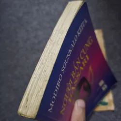 Người bắn cung Bassari 734936