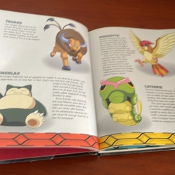 PICTURE BOOK The official adventure guide Pokemon 536660