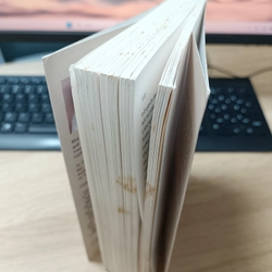 Lịch sử nội chiến ở Việt Nam từ 1771 đến 1802 443865