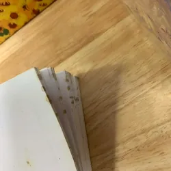 Thiếu Nữ Đánh Cờ Vây - Sơn Táp 928000