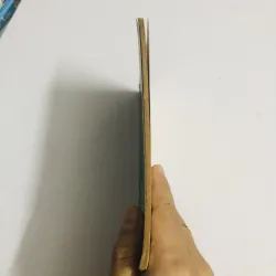 TÔN GIÁO VÀ THẾ GIỚI NGÀY MAI – Thích Giác Huệ 792498