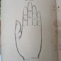 XEM CHỈ TAY - HUỲNH LIÊN TỬ 1007205