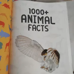 1000 + animal facts 969842