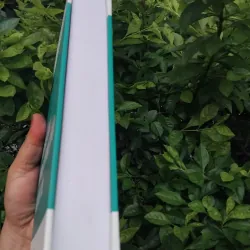 Văn hóa học những phương pháp nghiên cứu  1004728