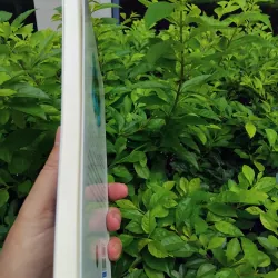Những hình bóng cũ tập truyện ngắn của Ngọc Giao  989992