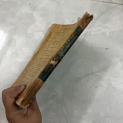 Hướng dẫn thực hành kế toán các đơn vị kinh doanh quốc tế 1011323