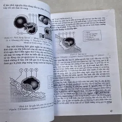 Giáo trình nội thần kinh/ phôi thai học (2 cuốn) 800655