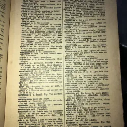 Laurousse de poche 1040119
