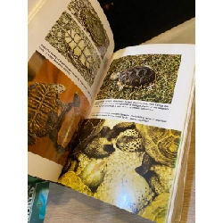 Encyclopedia of Turtles - Dr. Peter C. H. Pritchard 533826