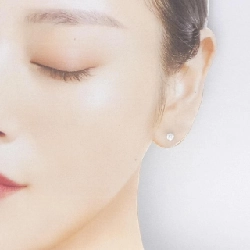 PT900/ST Bông tai kim cương 0.214CT 0.222CT E-F VS2 3EX-EXT - Hàng hiệu Chính hãng 875211