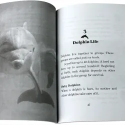 Magic treehouse Fact tracker  - 44 quyển 745161