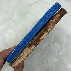 Công chúa Otomi (Bộ 2 tập) - 1988s 1019250