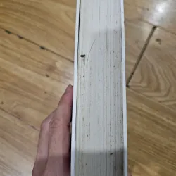 Cuốn theo chiều gió 2 (bìa cứng)
 777049