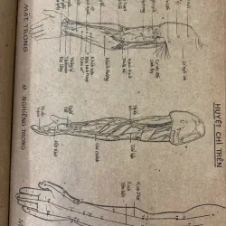 TÔI HỌC KHOA CHÂM CỨU - NGUYỄN VĂN SẮNG 1001245