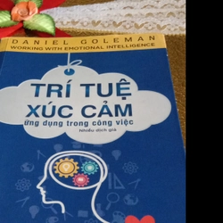 Trí tuệ xúc cảm- Ứng dụng trong công việc 366313