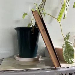 Tiếng nga - xuất bản 1986 746143