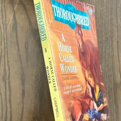 ✨𝑨 𝑯𝒐𝒓𝒔𝒆 𝑪𝒂𝒍𝒍𝒆𝒅 𝑾𝒐𝒏𝒅𝒆𝒓✨ 720056