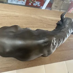 Bò, hay trâu kiem loại? 719402