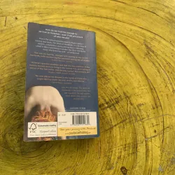 The WITCH OF PORTOBELLO- PAULO COELHO 763277