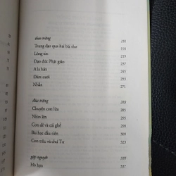 Thấy Phật | Cao Huy Thuần  493392