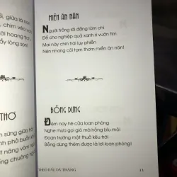 Theo dấu dã tràng - Sao Mai Tây Đô 1017330