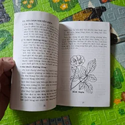 Đông Y Trị Ung Thư: Những Bài Thuốc Đông Y Cho Mọi Nhà 1027665