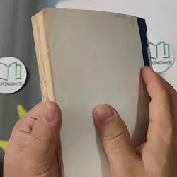 Bói Kiều - Phạm Đan Quế 798313