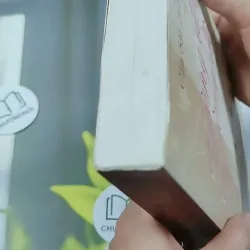 Giường Đơn Hay Giường Đôi - Cầm Sắt Tỳ Bà 744730