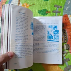 Bonsai - Cây dáng, thế và Non bộ 933891