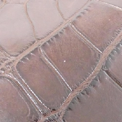 Túi Loewe Amazona 25cm - Hàng hiệu Authentic 769688