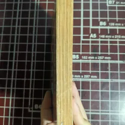 Bí ẩn và bí quyết sự sống đời người - Vũ Trọng Hùng & Ngô Hy 754682