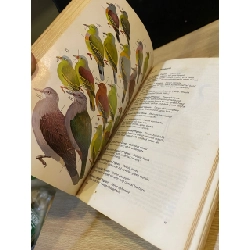 A Field Guide to the Birds of South-East Asia 533827