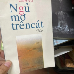 Thơ Ngủ mơ trên cát