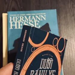 Combo 4 tác phẩm Hermann Hesse (đọc mô tả) 593570