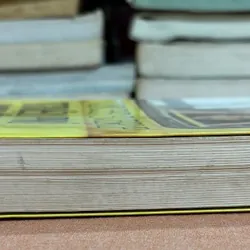 Triệu phú khu ổ chuột 🌊 599638