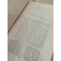 Hai mươi mùa xuân thầm lặng - Mai Thanh Hải