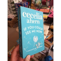 If You Could See Me Now - Cecelia Ahern mới 80% ố Sách ngoại HCM1004