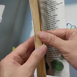 Chuyện Bình Thường - Thích Chân Tính 776106