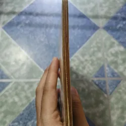 Mầu tím hoa sim thơ - Hữu Loan 975099