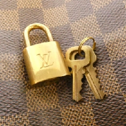 Túi xách Boston Louis Vuitton Damier Speedy 25cm N41365 - Hàng hiệu Chính hãng 770689