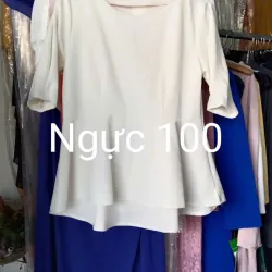 Áo kiểu V1 100 giá 30k 1025543