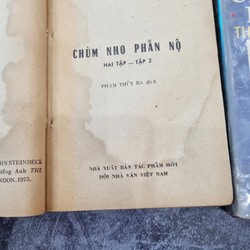 Chùm Nho Phẫn Nộ (Trọn Bộ 2 Tập) 183463