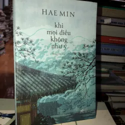 Khi mọi điều không như ý - Hae Min 