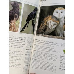 Stokes Field Guide To Birds - Donald and Lillian Stokes 1025883