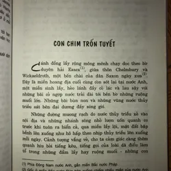 Con chim trốn tuyết 674603